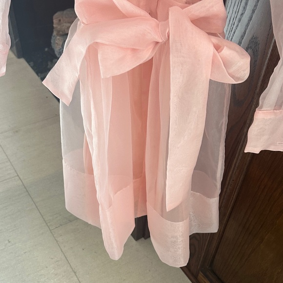 Maje Light Pink Sheer Shirt dress - Picture 4 of 4